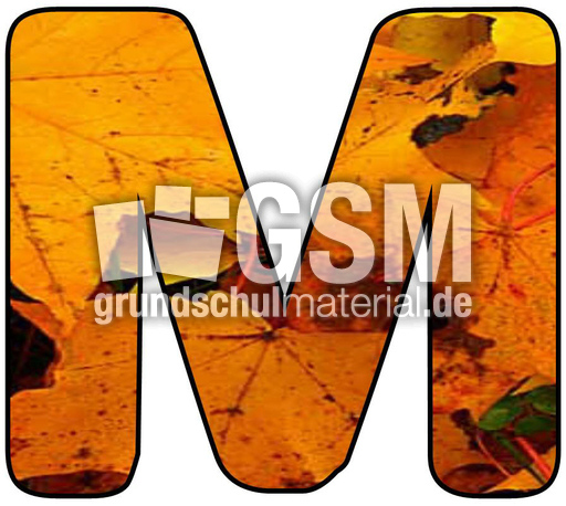 Herbstbuchstabe-2-M.jpg